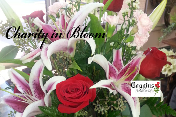 Coggins Flowers Charity in Bloom